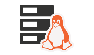 linux vps india